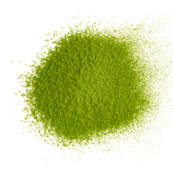 Matcha poeder – felgroene Japanse groene thee in poedervorm